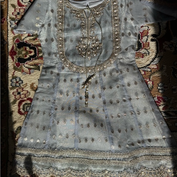 Elegant gray and Gold Embroidered Outfit - Picture 5 of 5